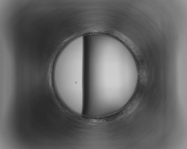 X0000102290442200807251004