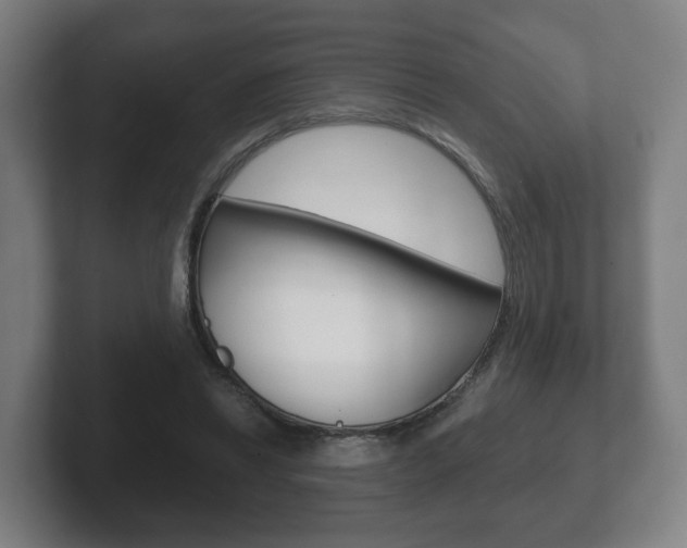 X0000102290446200807251004