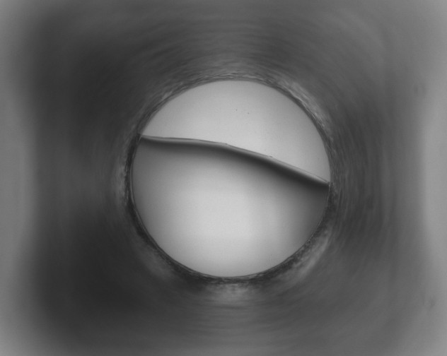 X0000102290449200807251004