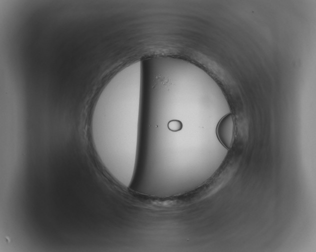 X0000102290450200807251004