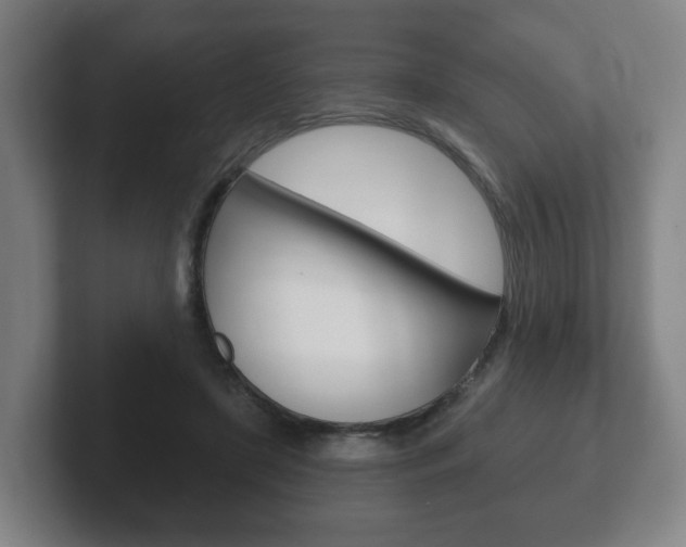 X0000102290451200807251004