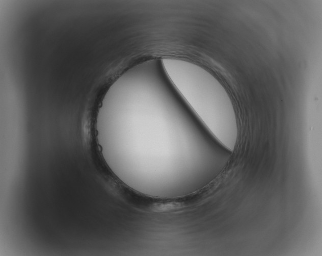 X0000102290452200807251004