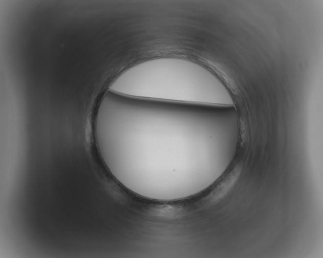 X0000102290453200807251004