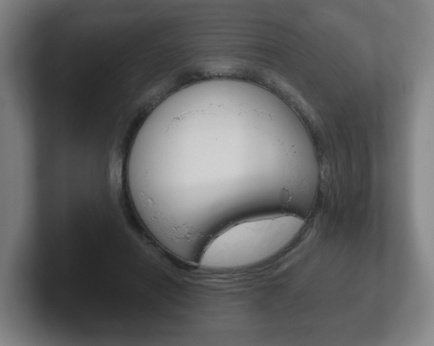 X0000102290454200807251004