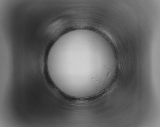 X0000102290455200807251004