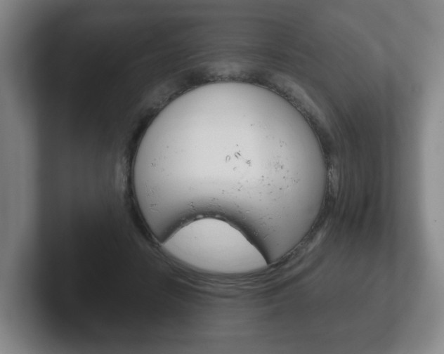 X0000102290458200807251004