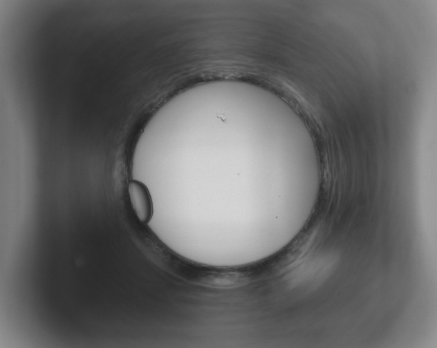 X0000102290459200807251004