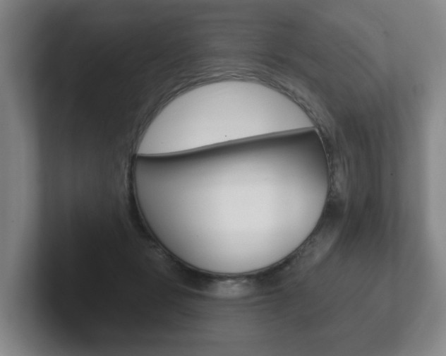 X0000102290461200807251004