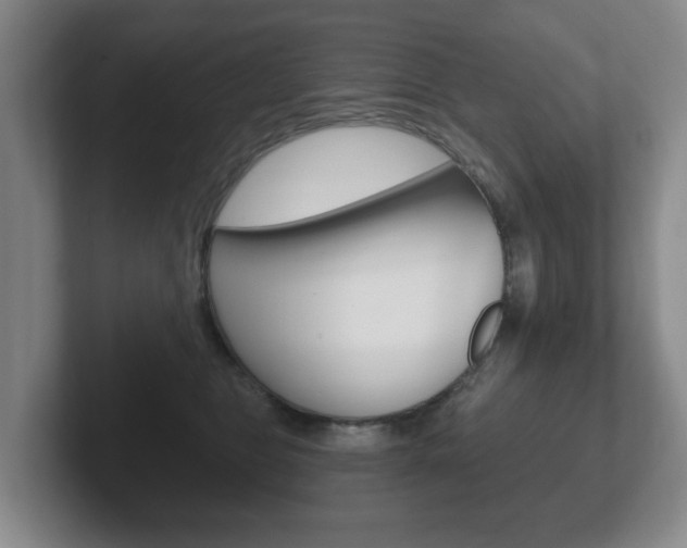 X0000102290469200807251005