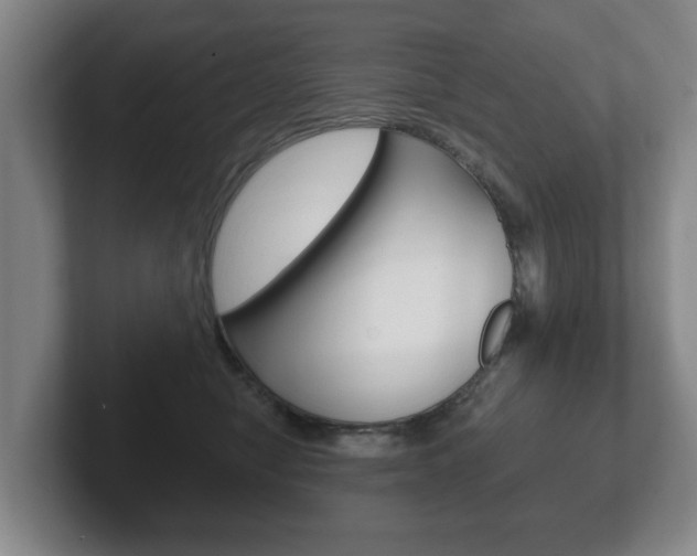 X0000102290470200807251005