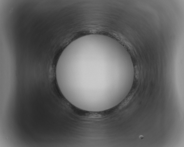 X0000102290471200807251005