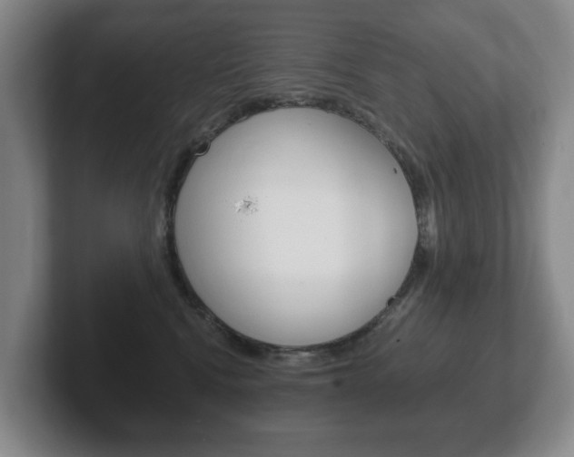 X0000102290472200807251005