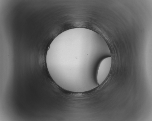 X0000102290473200807251005