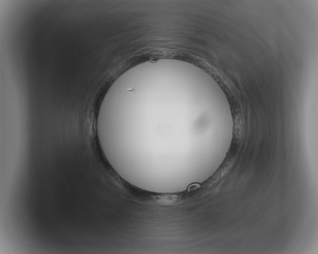 X0000102290474200807251005