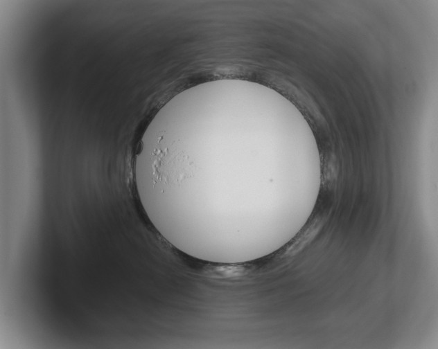 X0000102290478200807251005