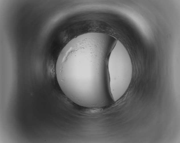 X0000102290479200807251005