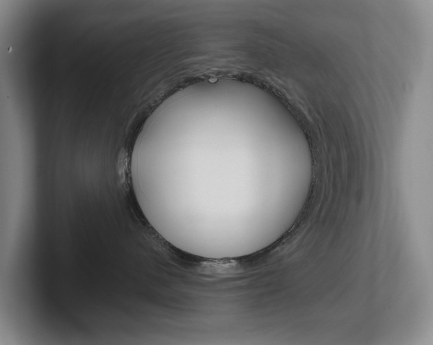 X0000102290480200807251005