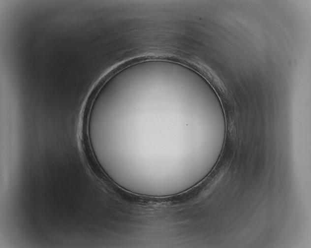 X0000102290484200807251004