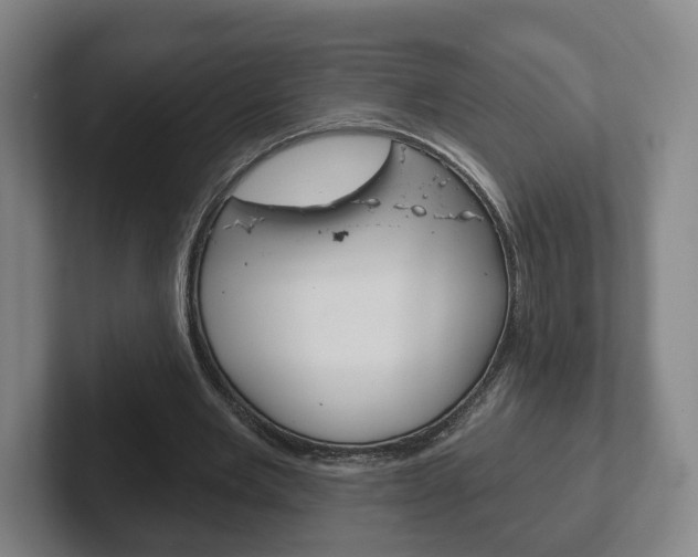 X0000102290485200807251004