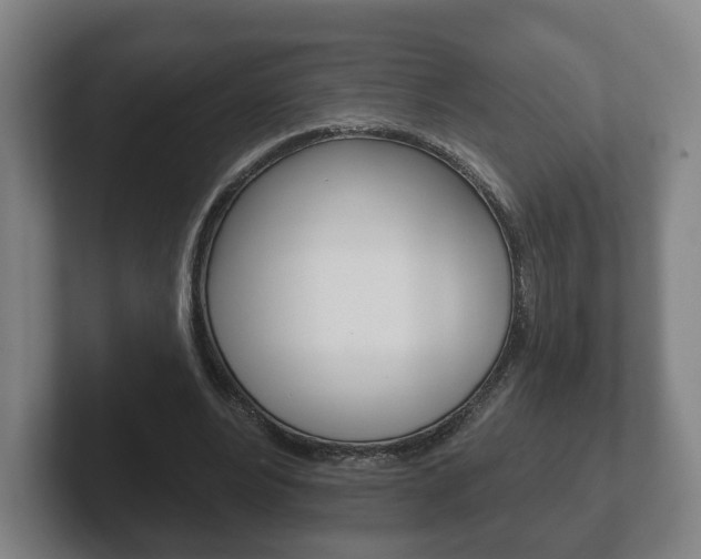 X0000102290488200807251004