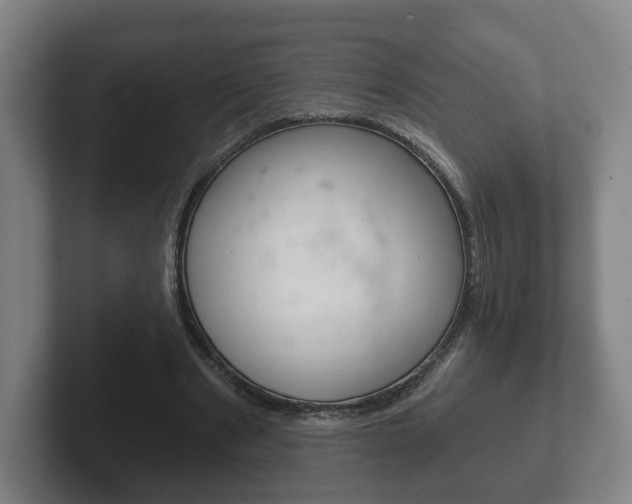 X0000102290489200807251004