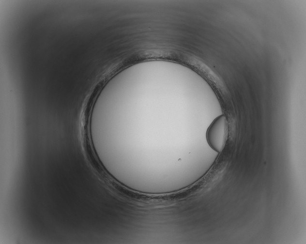 X0000102290490200807251004
