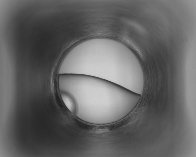X0000102290491200807251004