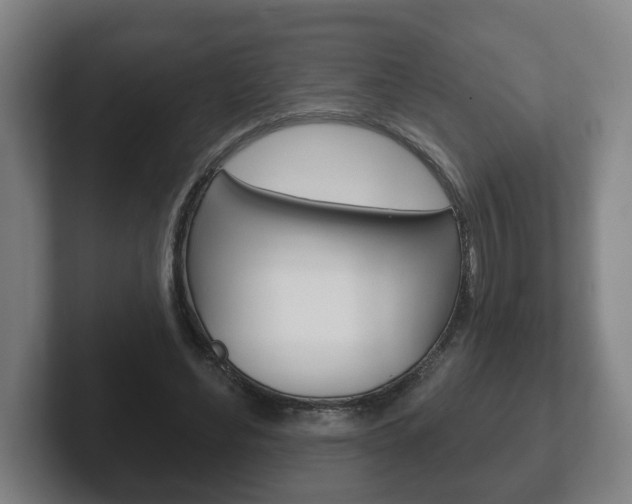X0000102290492200807251004