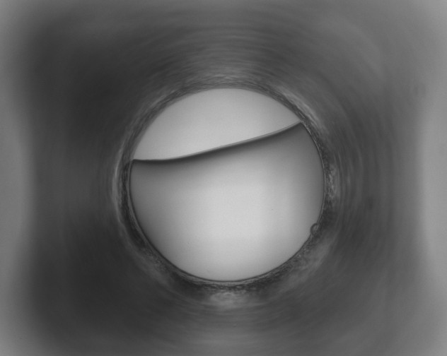 X0000102290494200807251004