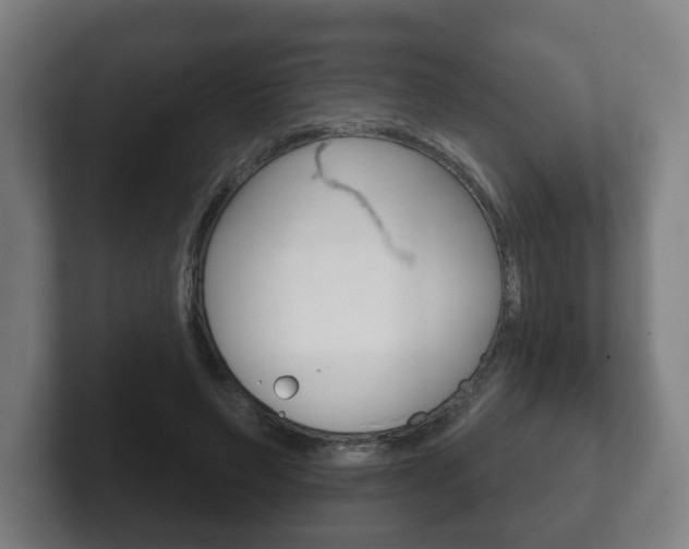 X0000102290495200807251004