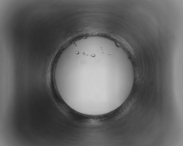 X0000102290496200807251004