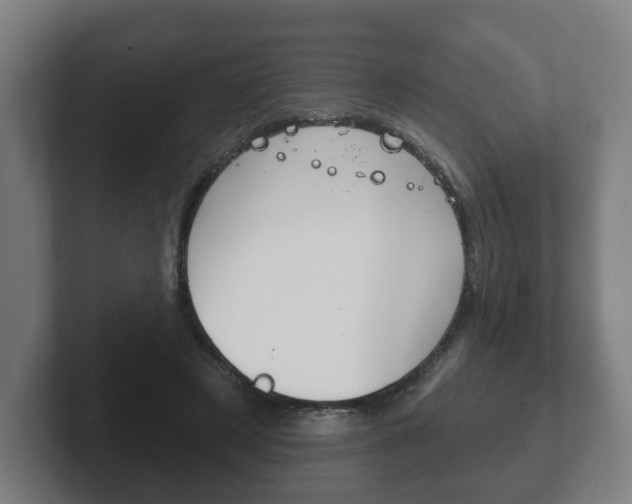 X0000102290497200807251004