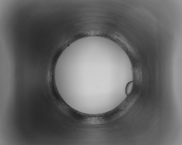 X0000102290499200807251004