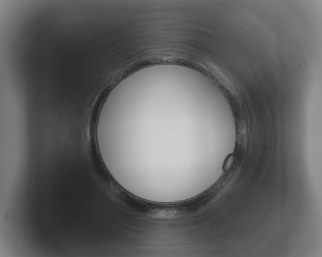 X0000102290500200807251004