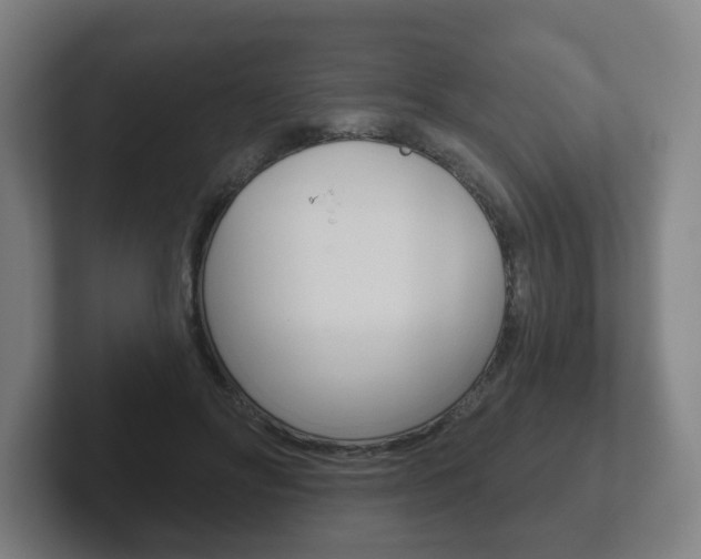 X0000102290502200807251004