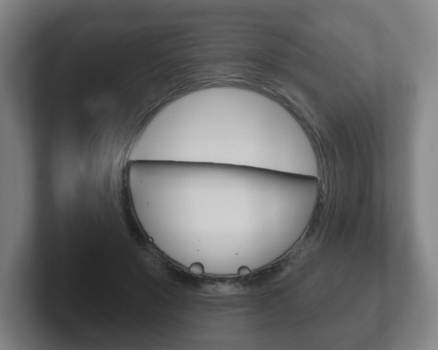 X0000102290503200807251004