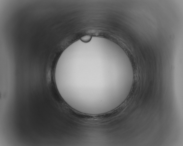 X0000102290504200807251004