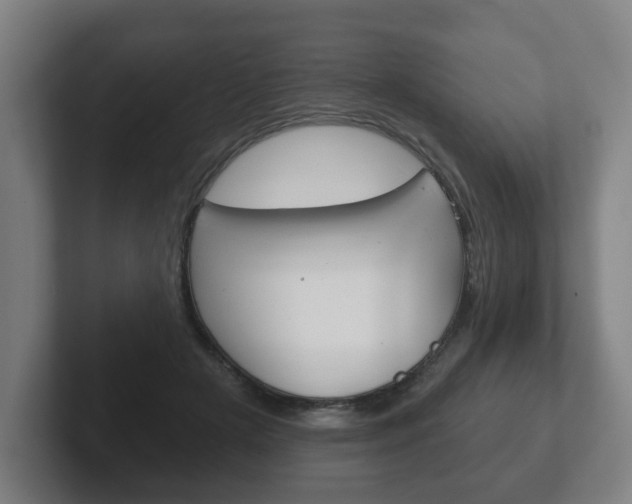 X0000102290505200807251004