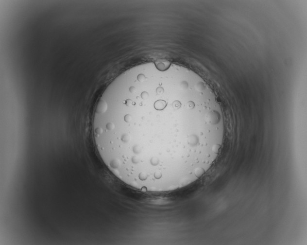 X0000102290507200807251004