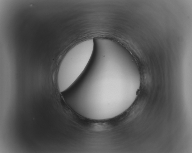 X0000102290508200807251004