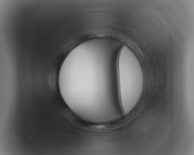 X0000102290509200807251004