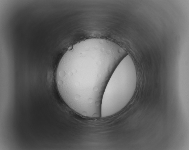 X0000102290511200807251004