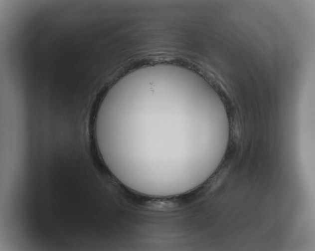 X0000102290512200807251004