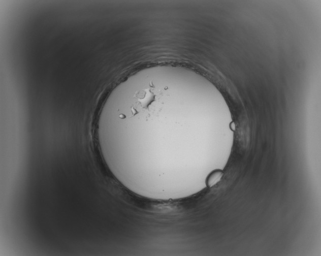 X0000102290516200807251004