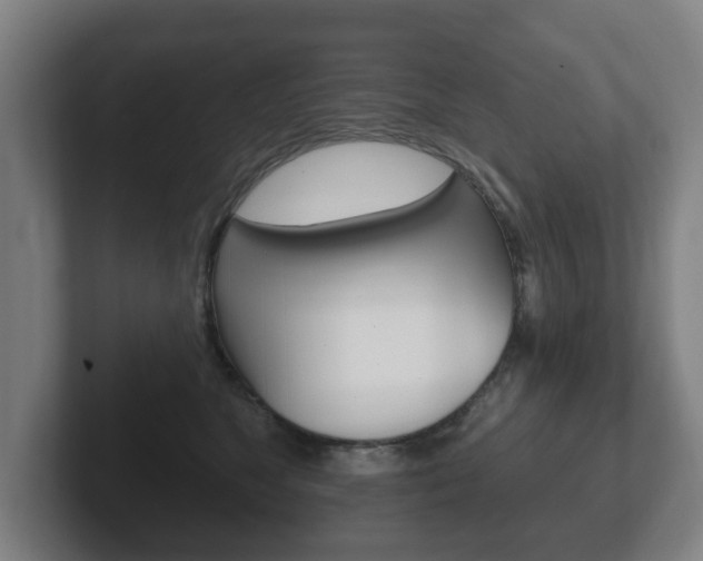 X0000102290517200807251004