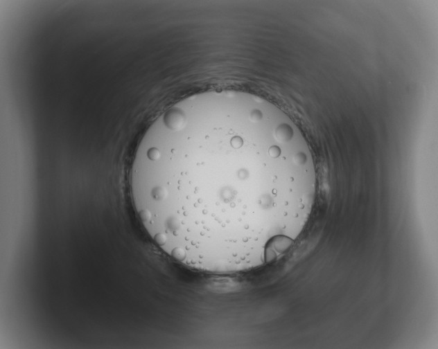 X0000102290519200807251004