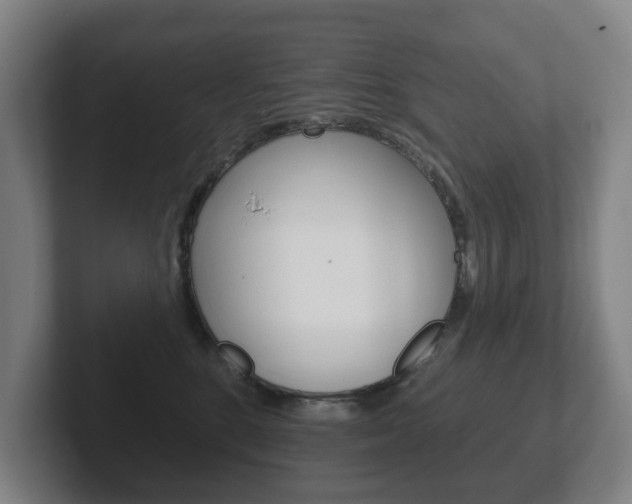 X0000102290520200807251004