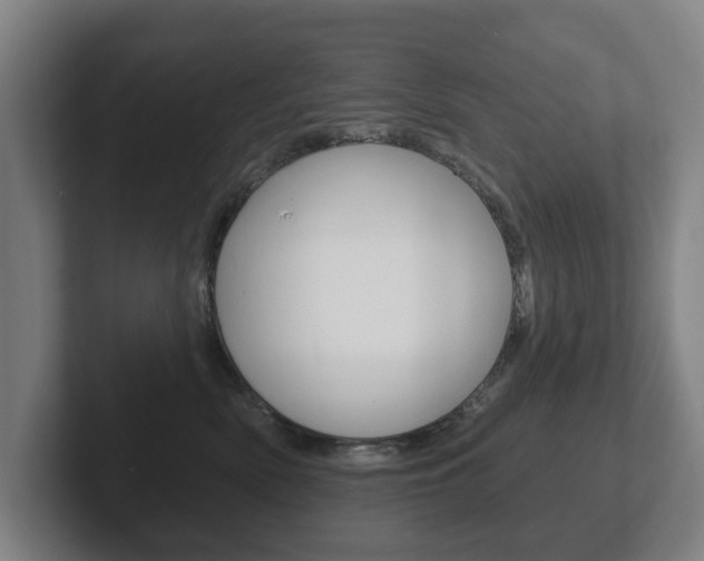 X0000102290522200807251004