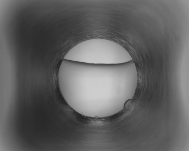 X0000102290523200807251004
