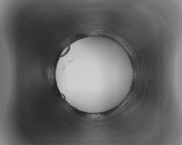 X0000102290525200807251004
